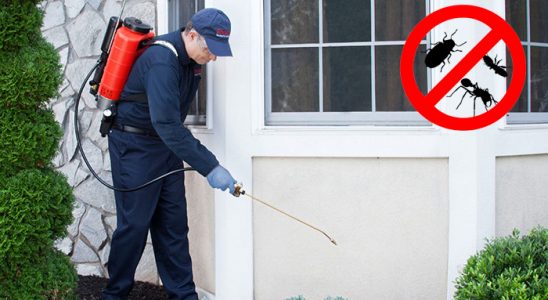 Derinkuyu Kene İlaçlama böcek ilaçlama ve haşere kontrolü — ilaclama-tr.com